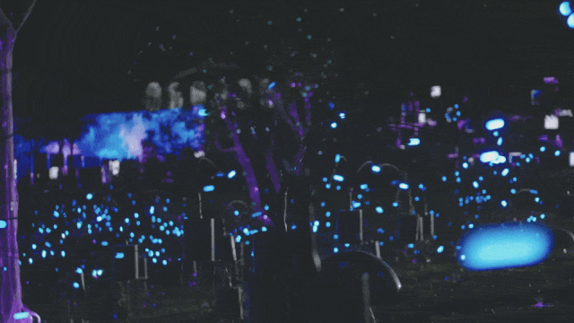 夜游地+1！秦皇岛千灯之夜璀璨启幕，游玩攻略看这里！