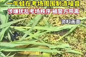太卷了！云南高考一牛蛙因涉嫌扰乱，被警方带离！评论全是骂声！图片