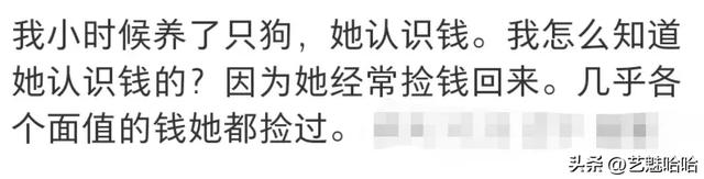 有没有被宠物智商震惊过？网友：那一刻显得我情商还没它高