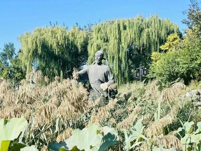 博物馆秋之旅丨赏景读史,秋光中与这四家纪念馆邂逅——