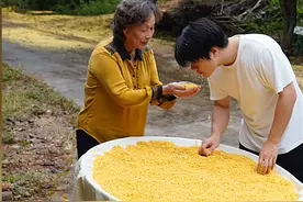 返乡青年名模坤、家伟、建康等，替打工人陪伴家人，陪好久没见的家人一起喝梅见图片