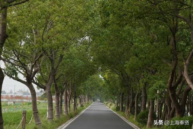 出门赏秋色，一起把四团美景“装”进相机里
