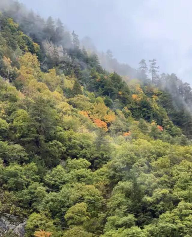 秋假追雪毕棚沟，没想到被安德服务区圈粉了！