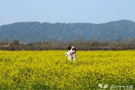 今天17时01分，苏州正式进入……图片