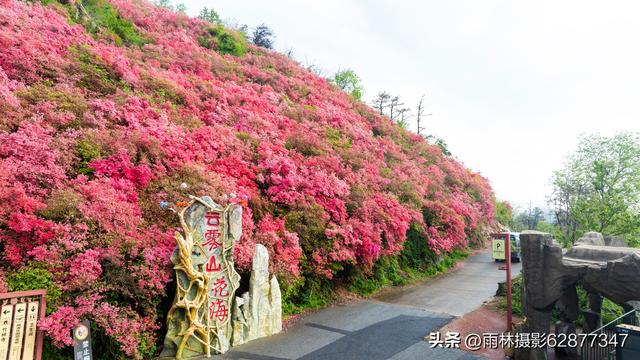 在黄陂，这样的美景你见过吗？