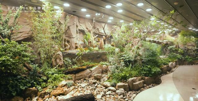 把山林搬进商场,把时间还给生活