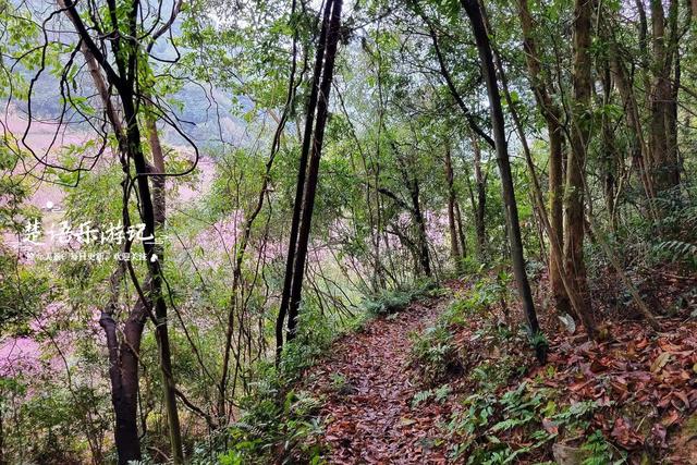 浙江宁波的山海风景线，山岙里藏着多个古村和网红景点，值得游玩