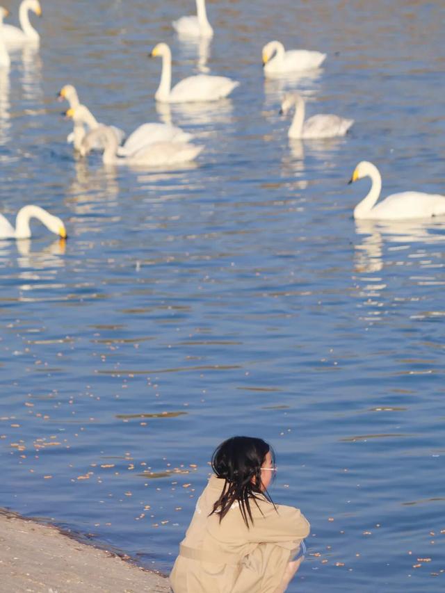 冬日周六晴好，邂逅热闹苍龙湖