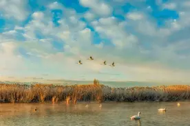 纯净自然的微信名，喜欢自取❤️图片