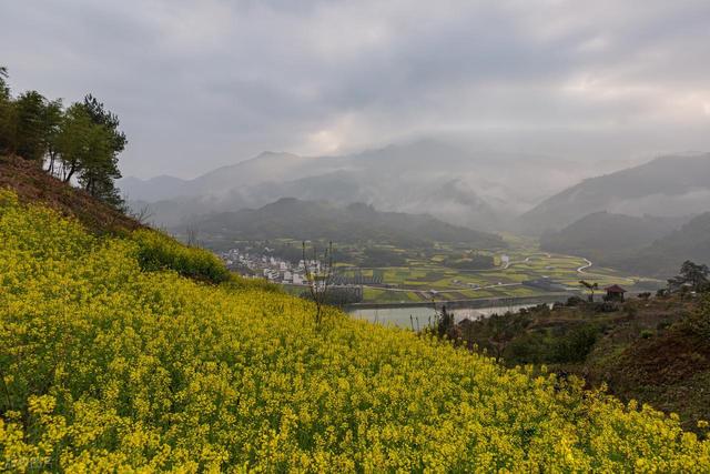 别被“赏花列车”骗了！这3趟才是真的开往春天，剩下的只是噱头