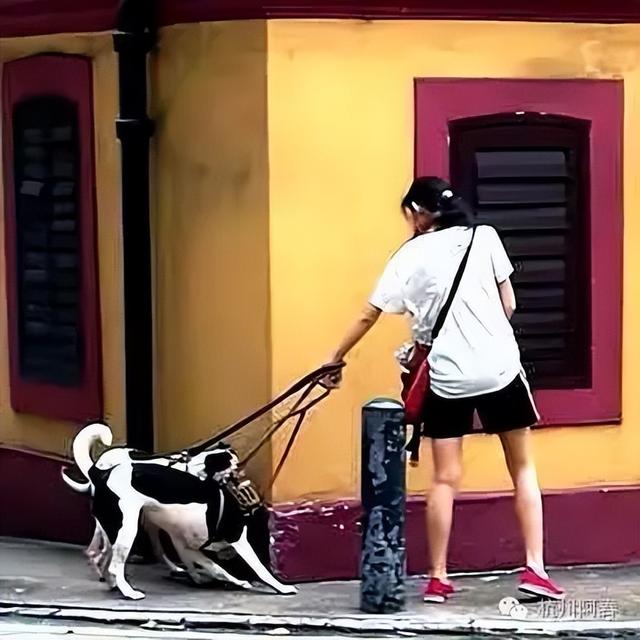 我喜欢的那片澳门老城区 …