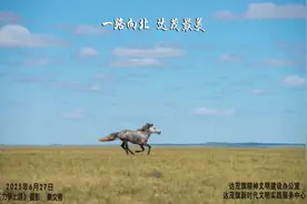 达茂时讯丨2025年6月27日 内蒙古人社厅发布公告图片