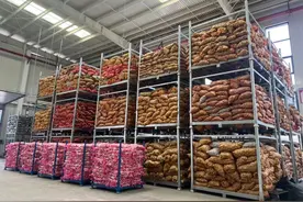 向新黔行·奋进筑呈|贵州首次！大蒜类生鲜农产品自主出口至中东地区市场图片