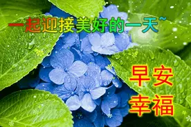 中老年早上好表情包大全，清晨问声好，开开心心永不老。图片