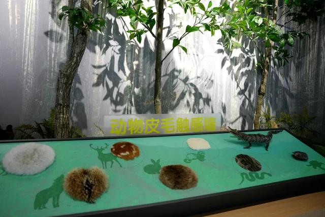 打卡新地标！来汉中这里，开启一场自然之旅~