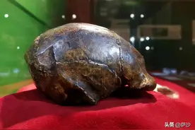 中国人的祖先究竟是不是北京人？1929年12月2日北京猿人被发现图片