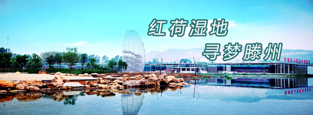 斑斓秋日红荷湿地 “赏草季”浪漫开启~~~