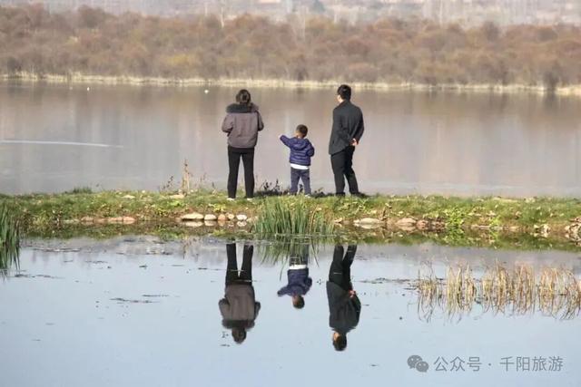 我在千湖湿地撞见了冬天的温柔