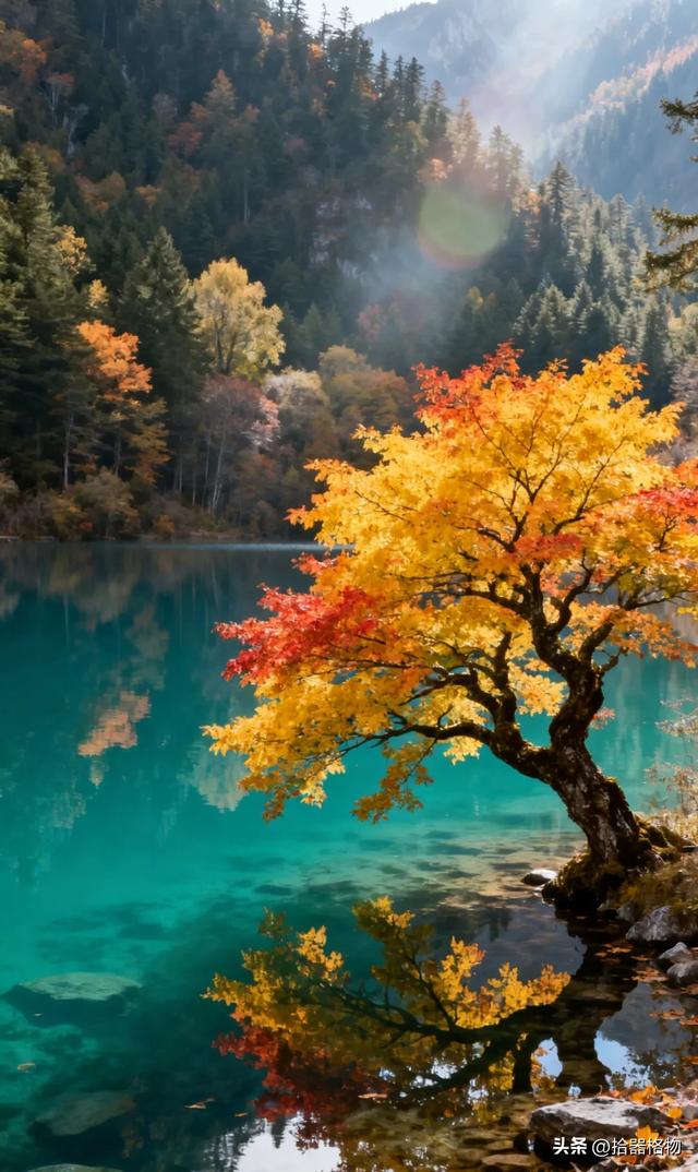 一湖秋水映长天,满眼秋色入画来