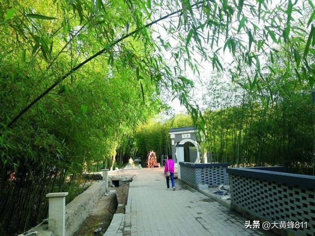 认识大美河南的每个县——第11波：洛宁