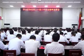 市委常委、宣传部长周大鹏到厚坡镇宣讲党的二十届三中全会精神图片