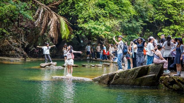 都市热浪求生？鼎湖山21℃天然空调已开机！速领攻略→