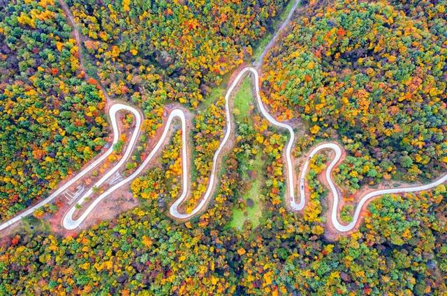 广元不远 周末优选 | 秋色短暂，曾家山赏秋路线来啦！