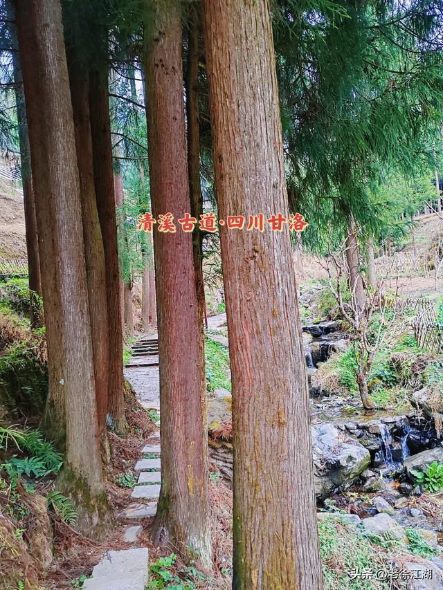 🔥甘洛海棠古镇｜千年丝路第一镇，零关古道藏着大凉山密码