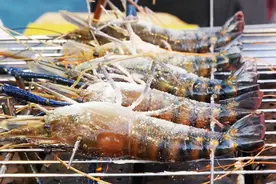 越南人快被“逼疯”，向联合国发求救信：它们为什么不去中国？图片