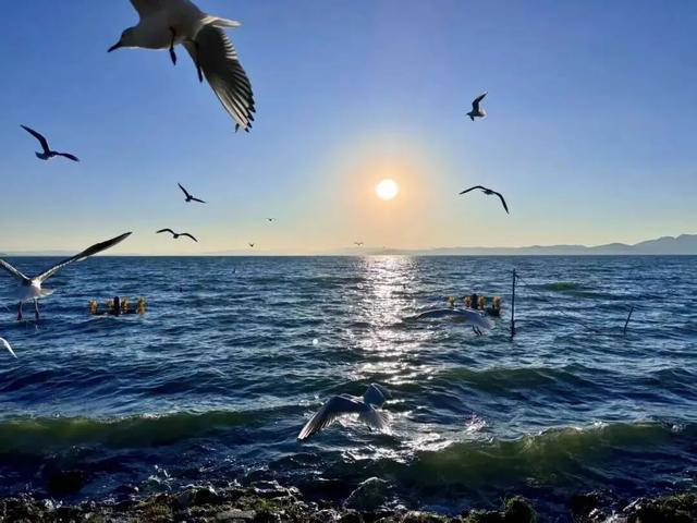 “白菜价”机票来了！重庆直飞，这些地方景美又好玩