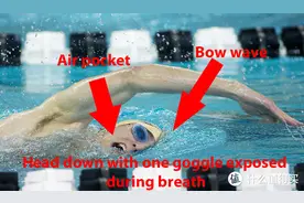 夏天都要过了却还不会游泳？看我如何用28小时自学自由泳！图片