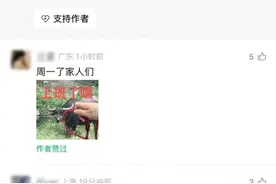 微信新功能上线！视频号评论区，可以“斗图”了图片