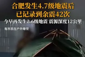 合肥4天之内连震两次，郯庐地震带活跃性增强！会发生大地震吗图片