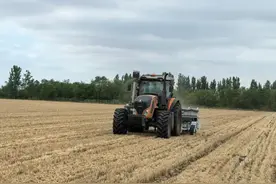 玉米还没种？最晚播种时间表来了！收藏保成功图片