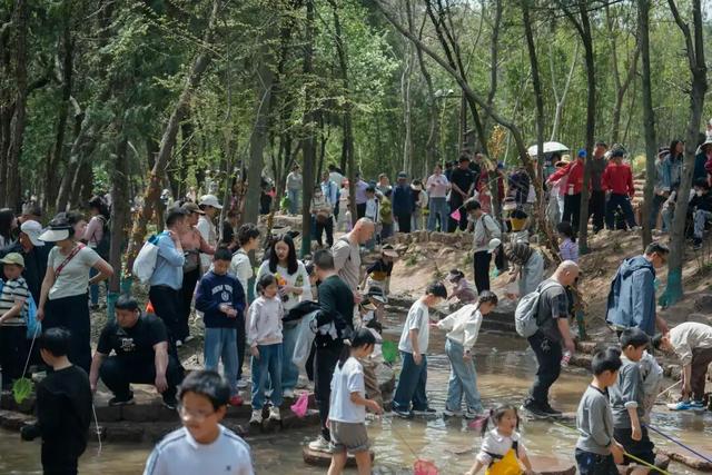 212.93万人次！入列十大热门城市！