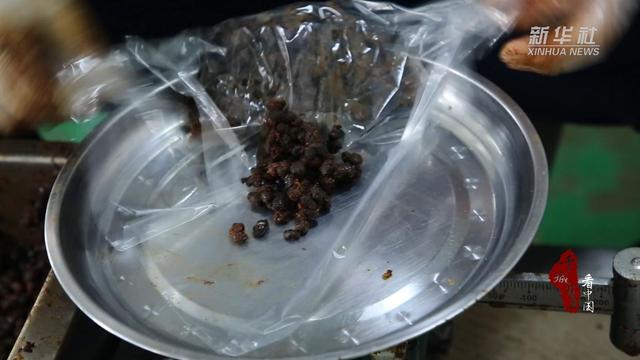 承德不止避暑！双桥区的这三张“王牌”让你不虚此行	。周末游河北