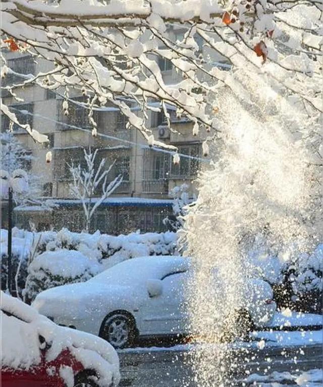 北京雪天惊现“地冒白烟”！千年记载+科学解密，这奇观咋来的？