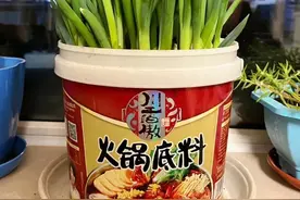 叹为观止！真是一生节俭的中国人，变废为宝小能手图片