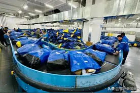 嚯！“双11”，鄂州快递“卷”起来了！图片