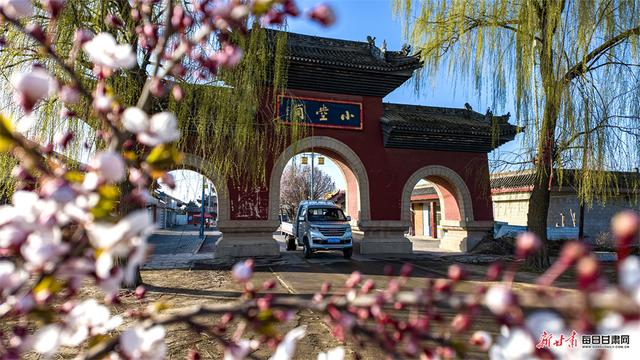 西峰春意浓 杏花飘香小崆峒