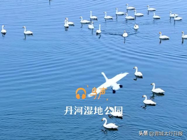 【晋城】嘘！请屏住呼吸，聆听泽州景色里的自然呓语