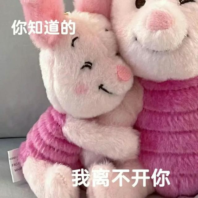 Share｜沙雕表情包11.02