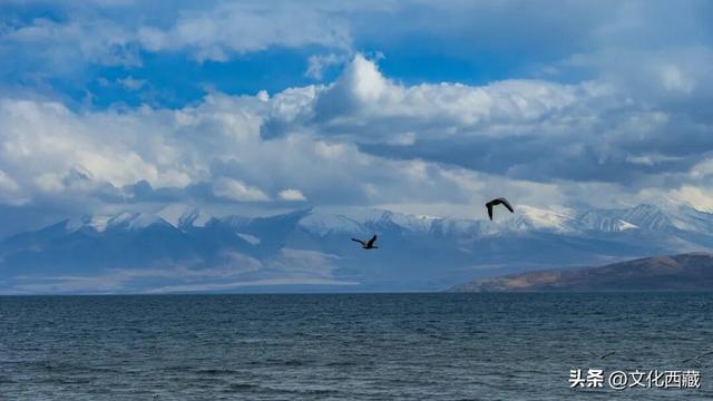 阿里！浓缩了西藏最极致的风光！看完这5种绝色才算不虚此行！