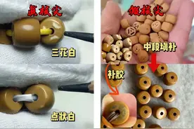 核尖与核壁的区别：一条真核尖至少具备以下特点图片