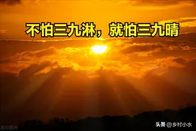 “不怕三九淋，就怕三九晴”，今日进三九，三九晴有啥预兆？图片