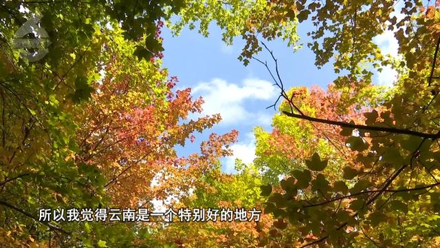 “Color Walk”火了！在昆明，用颜色解锁一座城