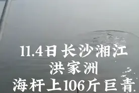 湖南一男子钓获百斤青鱼，被人12000买走，网友直呼亏大了？图片
