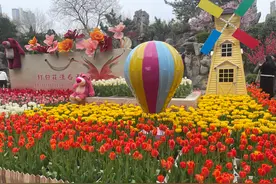 郑州人民公园郁金香花漾迎春 微风拂面陶醉花香满园图片