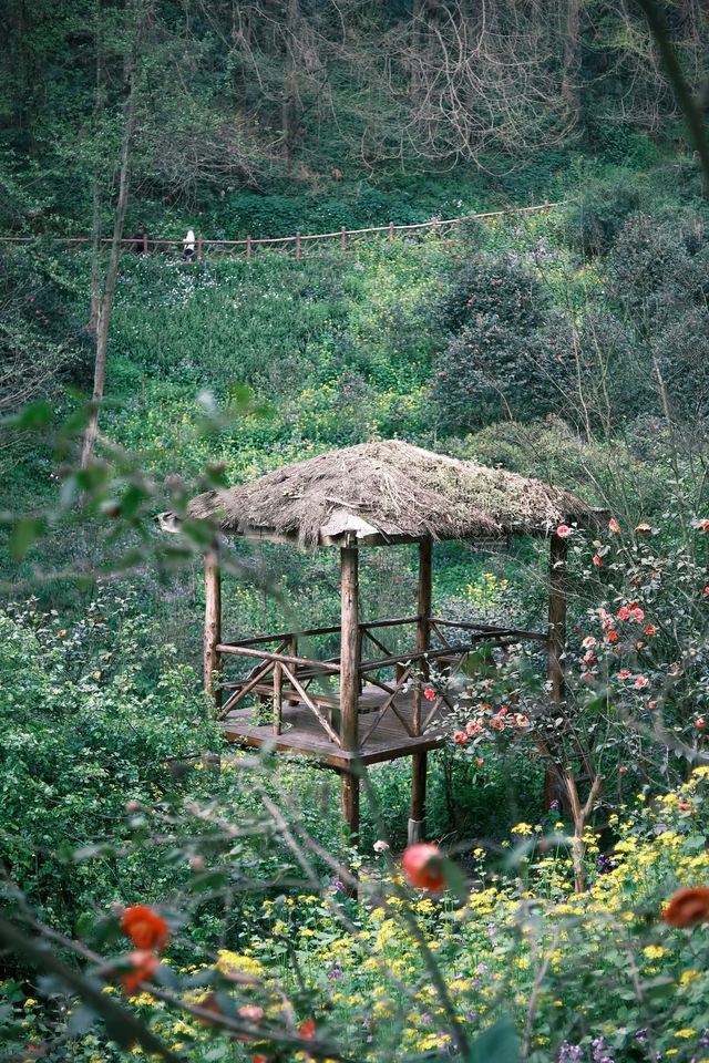 春假必看！成都周边1.5h亲子徒步，3公里徒步赏花拿奖牌轻松get！