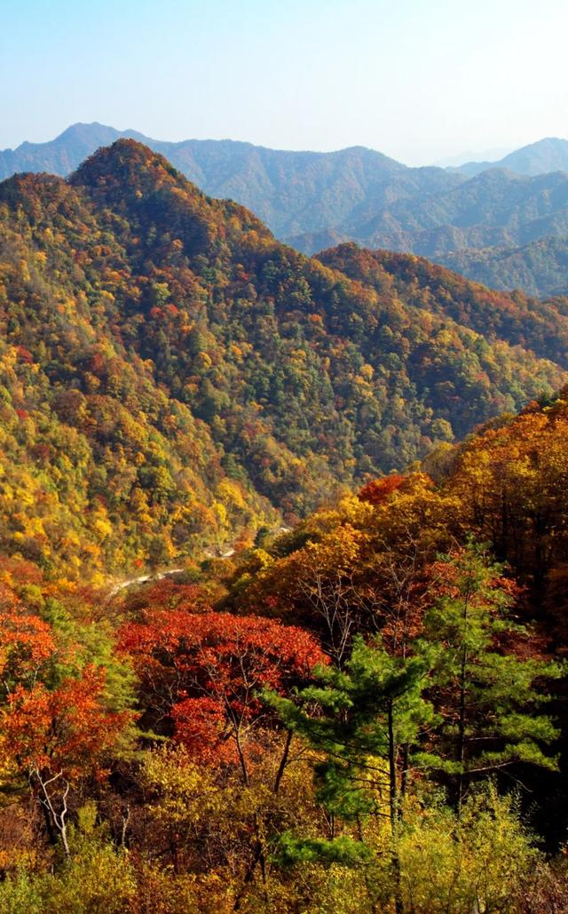 秦岭秋色醉，汉中红叶美：红叶季路线已为您规划好！